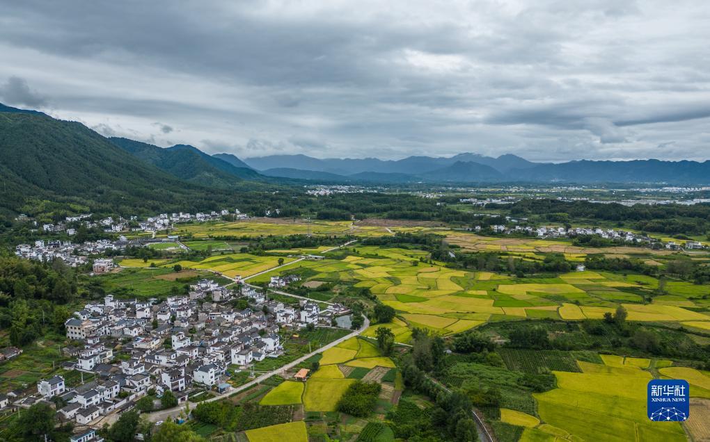 微乐宁夏麻将电脑版